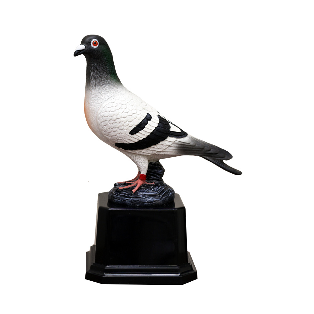 Pigeon Trophy كأس سباق الحمام